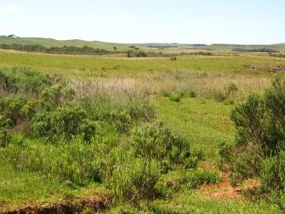 caracterizado com altas temperaturas no