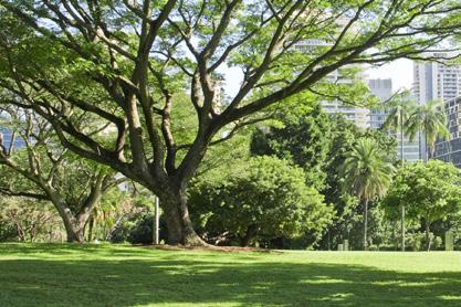 ADMINISTRAÇÃO E GESTÃO DE RECURSOS FÍSICOS A atividade no âmbito da Área de Administração e Gestão de Recursos Físicos desenvolveu-se com especial enfoque na racionalização de recursos, redução de