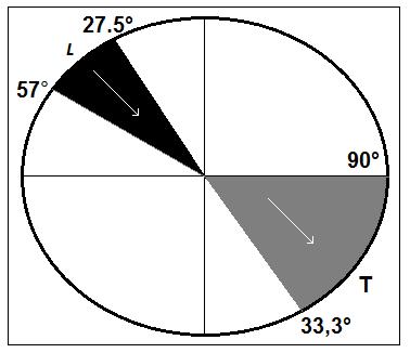 Na Figura 7 é mostrado uma faixa de ângulos de incidência de uma onda longitudinal na cunha de acrílico para os quais a refração no aço ocorre apenas com a onda transversal.