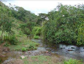Os cursos d`água da microbacia do Alto Rio Wampú apresentam largura que