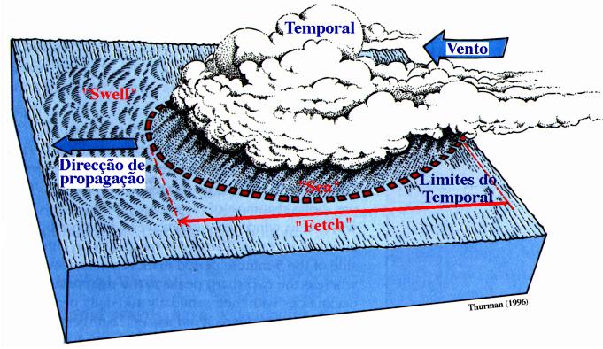 + Vaga (Sea) Campos de ondas - Ondas geradas localmente - Períodos curtos (L pequeno) - Declividade elevada -