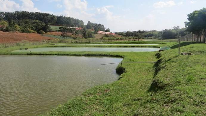 11:00 às 11:30 Piscicultura Visita interpretativa à criação de peixes, estufa e lagoas (viveiros).