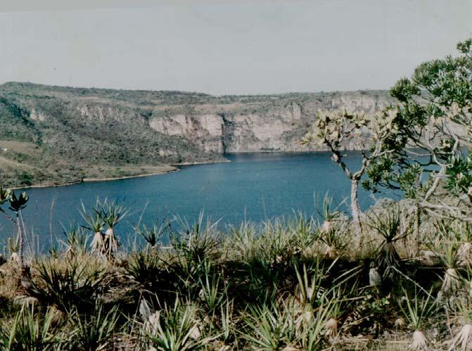 5 Figura 1 - Aspecto geral do reservatório de Furnas na região próxima à barragem, junto a rodovia MG 050, município de São José da Barra, MG. Foto de rmpc em 1998.