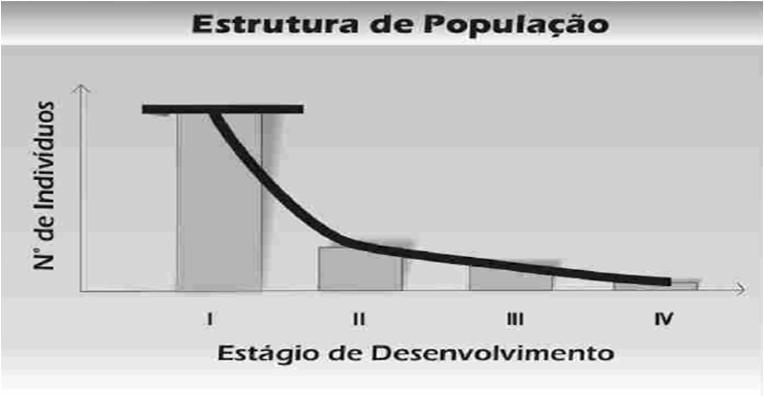 Potencial do Local Inventário amostral Subsidiar o plano de manejo Populações com distribuição aleatória Inventário piloto Tamanho da área de amostragem Populações com