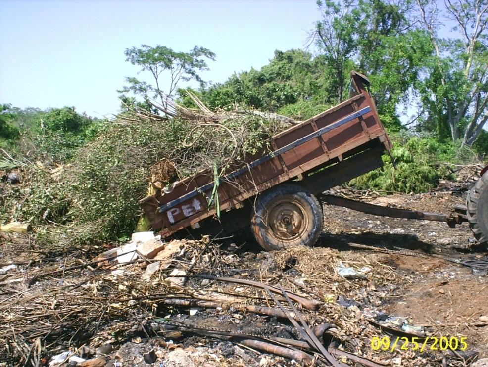 depositados nestes locais causa