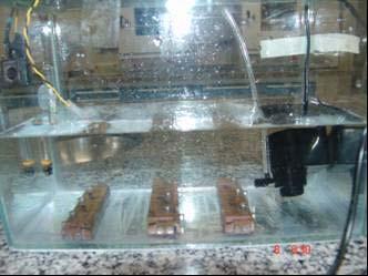 37 Dispositivo 3: aquário de vidro com capacidade de cinco litros com aquecedor para simular