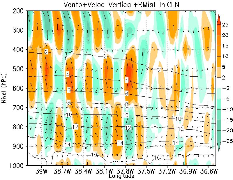 s -1 ), vetores de vento no plano (x,z) e umidade relativa (%); (d) velocidade vertical (sombreado)