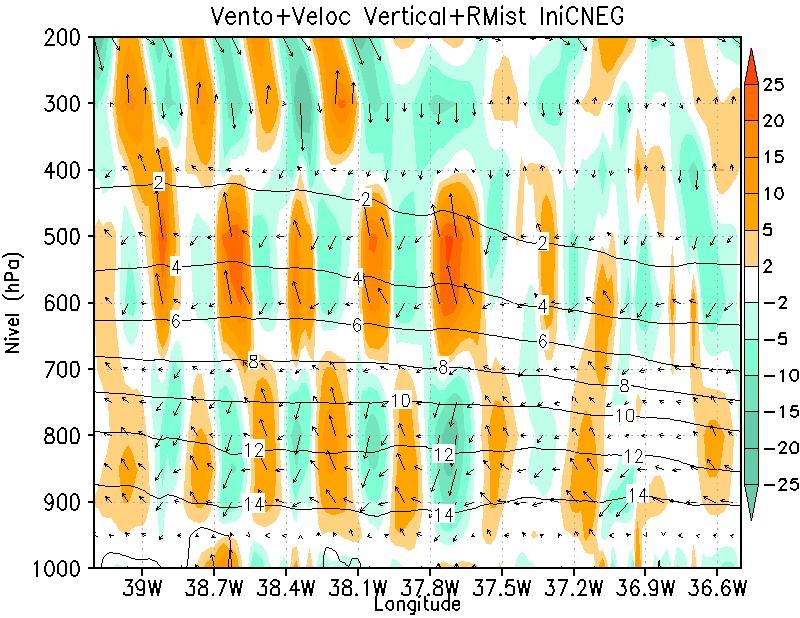 s -1 ), vetores de vento no plano (x,z) e umidade relativa (%); (d) velocidade vertical (sombreado)