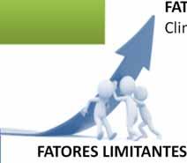 Nível Tecnológico HISTÓRICO ATUAL POTENCIAL FATORES REDUTORES: Ervas daninhas, pragas e doenças FATORES LIMITANTES: Solo, nutrientes, genótipos, manejo FATORES DEFINIDORES: Clima (água, temperatura,