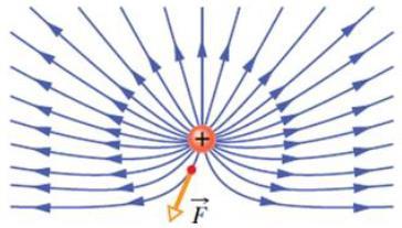 Num campo elétrico, as linhas de força são sempre paralelas às linhas de campo.