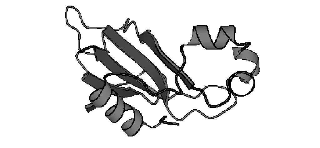 Modelagem Molecular por omologia Proteínas com seqüências de aminoácidos similares devem apresentar enovelamentos similares. Etapas: 1.