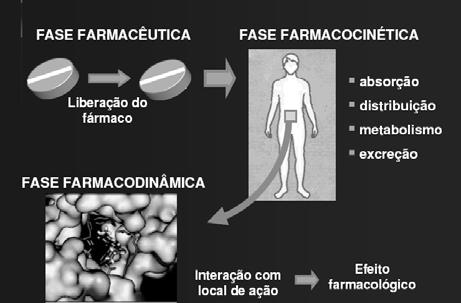 FARMACODINÂMICA Prof. Carlos Cezar I. S. Ovalle Princípio básicob A droga deve se ligar a um constituinte celular (proteína - alvo) para produzir uma resposta farmacológica.