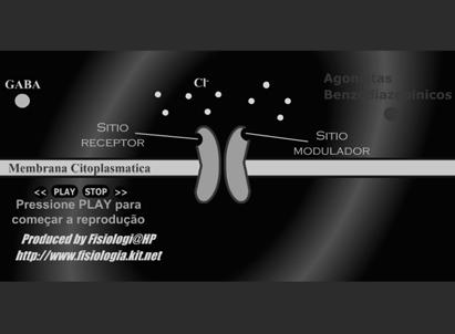 transmembrana à hiperpolarização ão,, com conseqüente ente diminuição da probabilidade de desencadeamento do