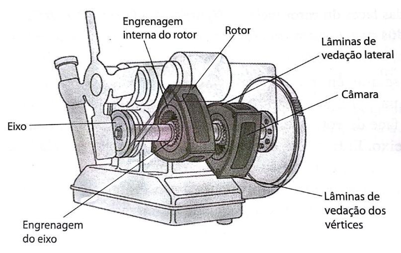 16 Mesmo sendo considerado um motor rotativo, o rotor sofre movimentos de translação associado à rotação.