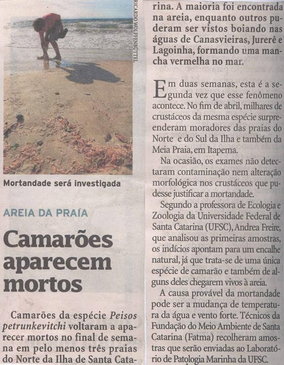 Diário Catarinense Geral Areia da praia: Camarões aparecem mortos Camarões mortos / Norte da Ilha / Canasvieiras / Jurerê / Lagoinha / Sul da Ilha / Meia Praia, em Itapema / Professora de