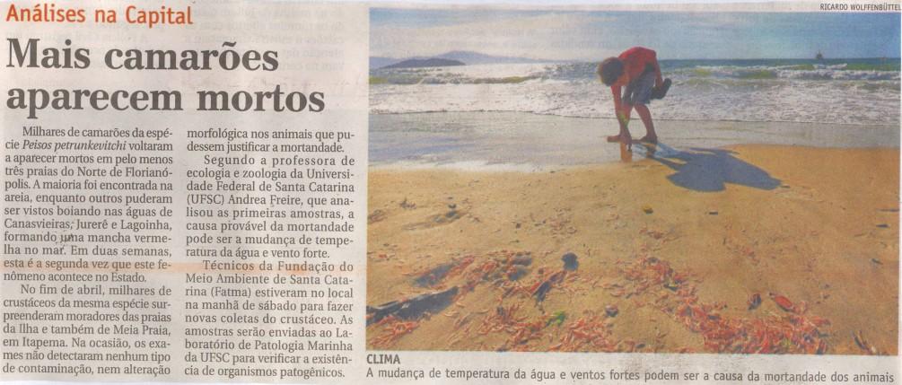 da UFSC A Notícia Estado Análises na Capital: Mais camarões aparecem mortos Camarões mortos / Norte da Ilha / Canasvieiras / Jurerê / Lagoinha / Sul da Ilha / Meia Praia, em Itapema / Professora