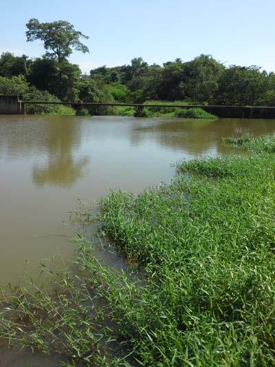 Ribeirão do Roque