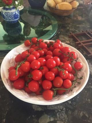 Comecei a gemere de prazer ali mesmo e, como sua mulher Grace é filha de italianos como eu, nem tive vergonha de cair de boca nos tomatinhos cereja que lá estavam para a gente combinar fosse com