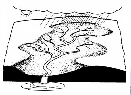 Bacia Hidrográfica (Definição) Uma bacia hidrográfica é uma determinada área de terreno que drena água, partículas de solo e