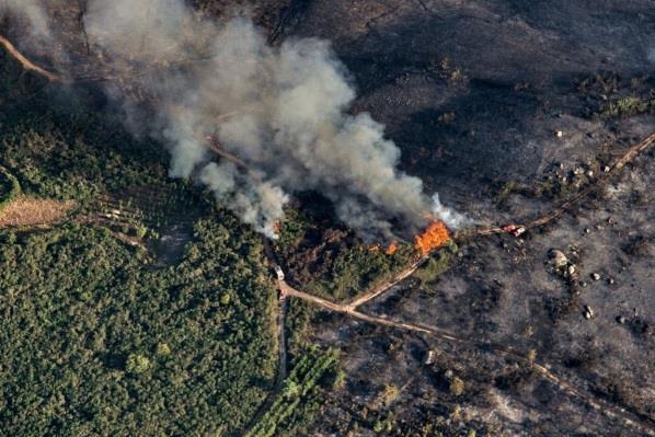 Area ardida (ha) O efeito da Rede Viária Rede viária 40 35 30 25 20 15 10 5 0 Impacto da rede viária nos incêndios 0 200 400