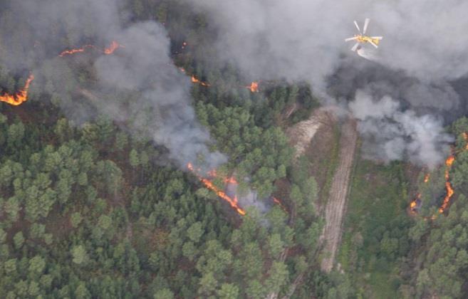 O efeito dos Postos de Água Número médio de descargas por cada 1h de trabalho de um helicóptero