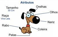 Possui Estado definido pelos valores contidos nas suas propriedades (atributos) Comportamento define o conjunto de ações que ele pode realizar expostas através dos