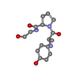 Aminoácidos: Pro cis-prolina A cadeia lateral da prolina tem como característica mais importante o estar ligada ao azoto da ligação peptídica precedendo o carbonoα, com as seguintes consequências: O