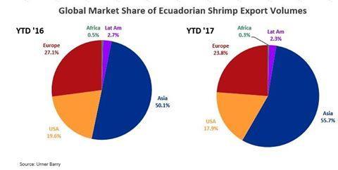 Exportações de Camarão do Equador Continuam em Ritmo Forte.