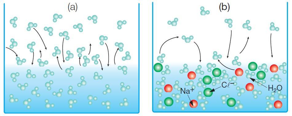 TONOSCOPIA Em uma solução aquosa de NaCl (b), a quantidade de moléculas de água que