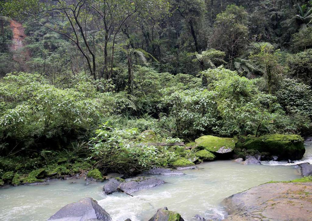 Objetivo estratégico 4 Assegurar o empoderamento do escritório nacional, para que atue de forma integrada e autônoma perante a rede FSC Desenvolver ações que assegurem a continuidade do crescimento