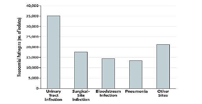 Principais tipos de infecção Patógenos Nosocomiais (no.