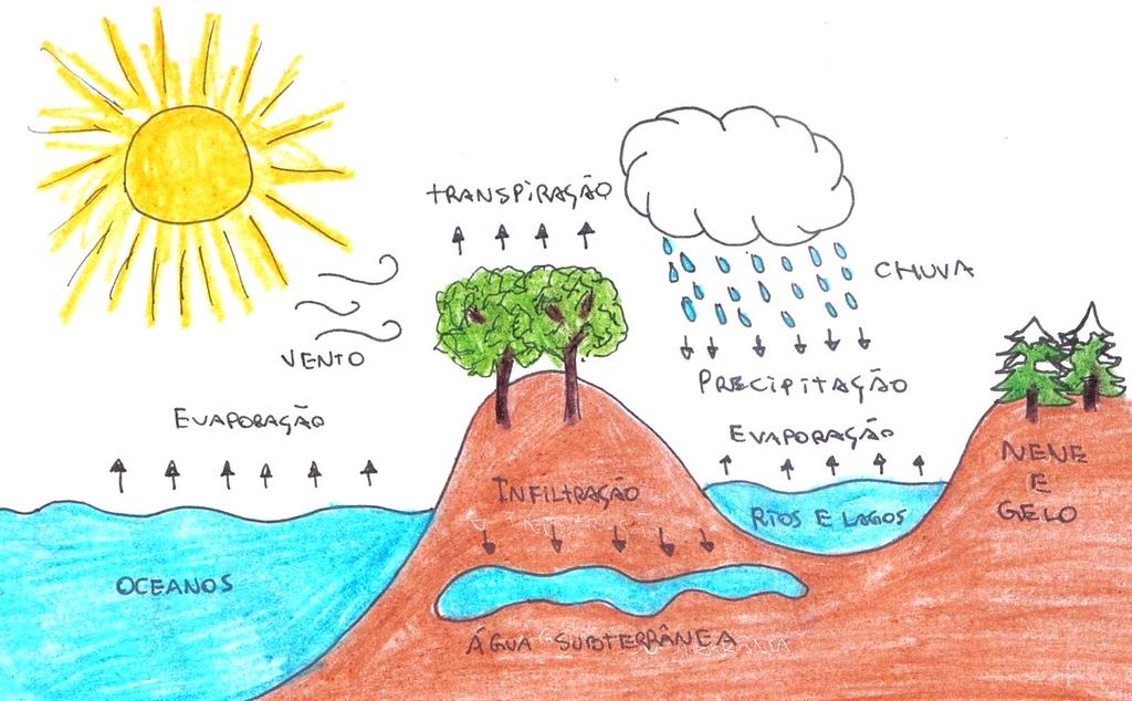 C IC L O S B IO G E O Q U ÍM IC O S Os ciclos biogeoquímicos representam um tipo de interação entre o meio biótico e o abiótico: os elementos químicos são retirados do ambiente, utilizados pelos