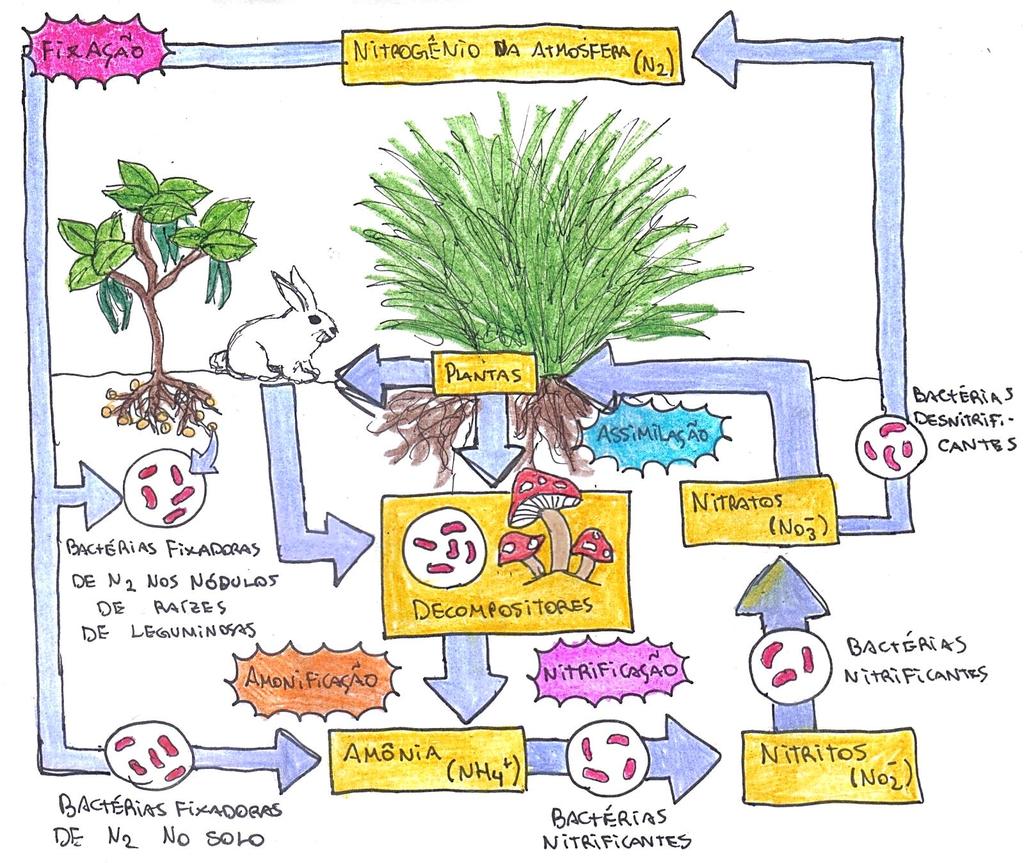 FIGURA 12: ESQUEMA