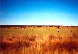 Regiões Argentinas Pampa Cobre a região centro-oriental do