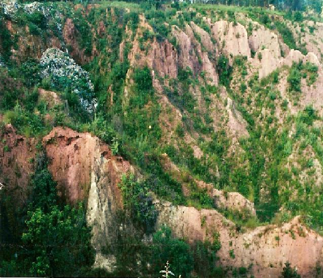 Figura 1: Antigo Lixão da cidade de Entre Rios de Minas.