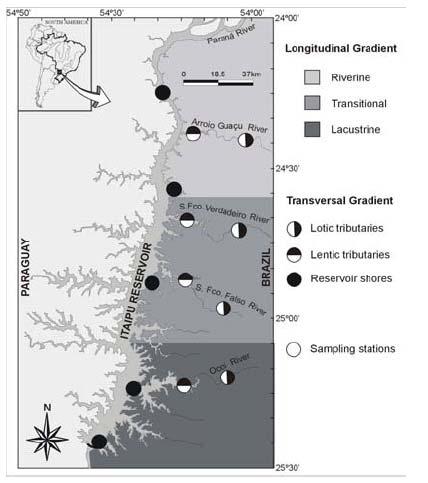 Gradiente longitudinal Thornton (1990) Região lacustre