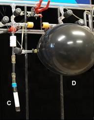 Pode ser observado na Fig. 2 o tubo de Rittenberg utilizado para a extração do CO2 durante a reação da amostra do carbonato (A) com o H3PO4 (B) sob vácuo.