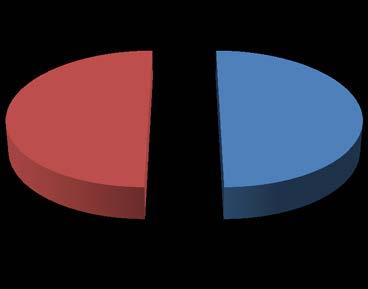 COMPOSIÇÃO ACIONÁRIA Ações Ordinárias (%) Capital