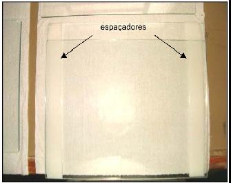 18 Avaliação da Diversidade Microbiana em Amostras de Solos Fig. 3. Visualização das placas com os espaçadores. Fig. 4.