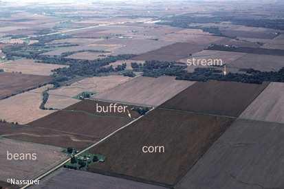 Cenários para a paisagem rural 2025 Cenários para a paisagem rural no Iowa nos EUA (Nassauer e Corry 2000): Cenário 1 - responde à procura socio-económica de produtos agrícolas;