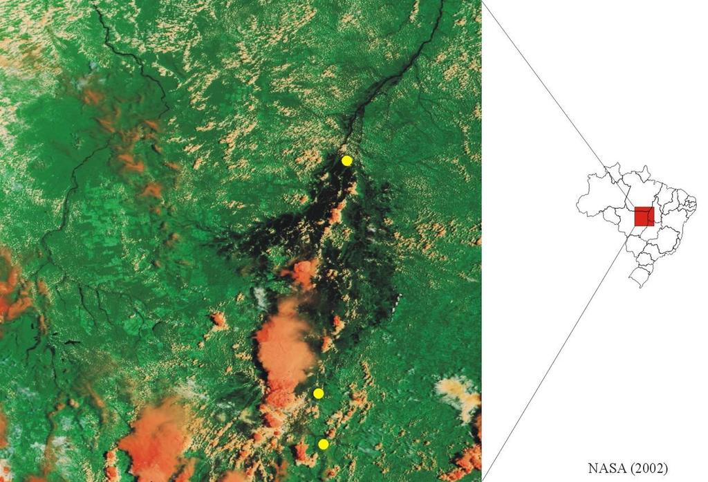 PLANÍCIE DE INUNDAÇÃO Planície aluvial do rio Araguaia A área escura compreende a planície de inundação