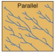 PADRÃO DE DRENAGEM Paralelo Formados em superfícies com declive em regiões de rochas homogêneas.