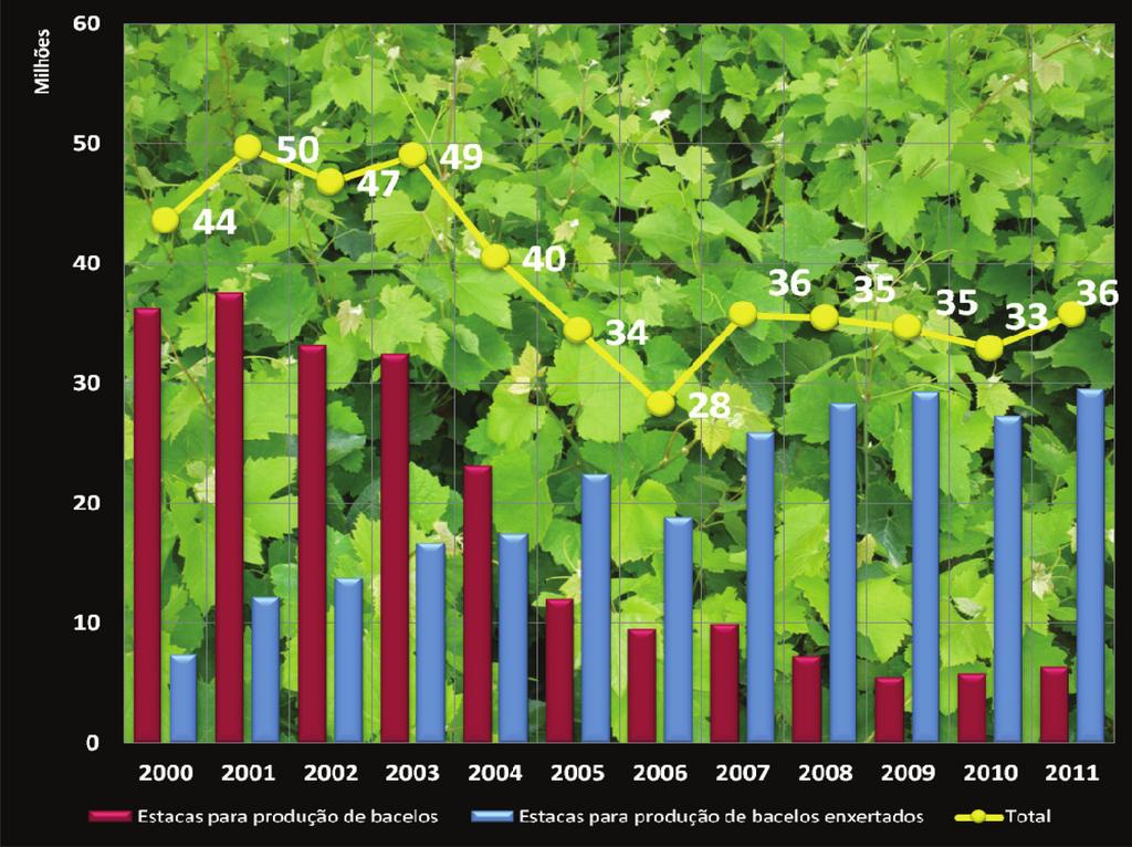 VITICULTURA ENXERTO PRONTO: UMA AFIRMAÇÃO NA VITICULTURA PORTUGUESA Por: João Garrido Estação Vitivinícola Amândio Galhano/ Comissão de Viticultura da Região dos Vinhos Verdes A chegada à Europa no