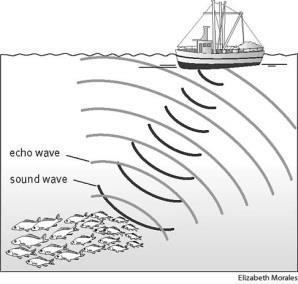 Reverberação : o som refletido chega e os efeitos do som direto ainda