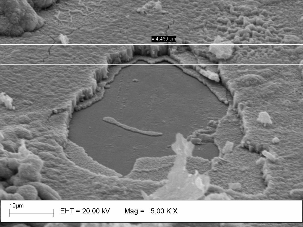 Figura 4.7 - Imagem obtida por MEV do filme de ZnO depositado em substrato de alumínio.