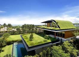 Telhados Verdes Já os telhados verdes são estruturas que se caracterizam pela aplicação de cobertura vegetal nas edificações.