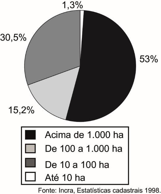 O gráfico representa a relação entre o tamanho e a totalidade dos imóveis rurais no Brasil. Que característica da estrutura fundiária brasileira está evidenciada no gráfico apresentado?