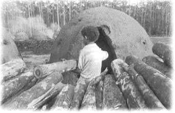 Características de atividades onde persiste o trabalho infantil na mineração Pequenas unidades produtivas pulverizadas por todo território nacional; Baixa produtividade; Processos produtivos
