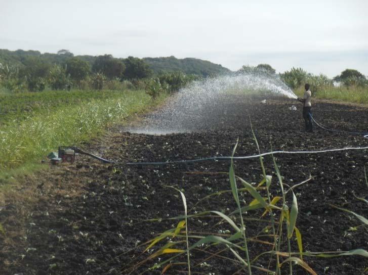 O drama dos sistemas de irrigação na