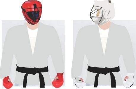 24 - O atleta AKA deverá usar os protetores na cor vermelha e o SHIRO na cor branca.